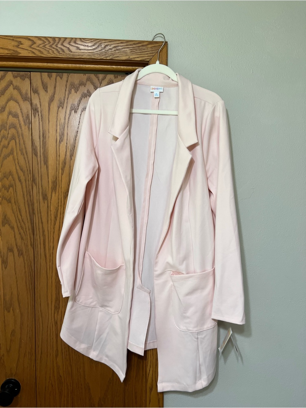 LuLaRoe Pale Pink Open-Front Blazer Jacket